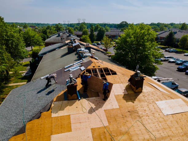 Best Roof Gutter Cleaning  in Stockbridge, MI